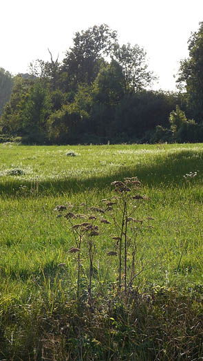 La vallée de l'Ysieux (Luzarches)